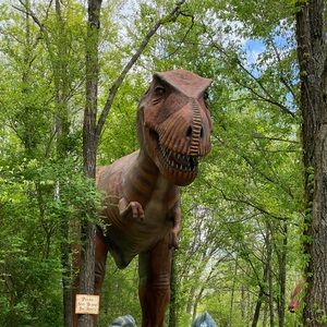 Meet your Posher, Kenny